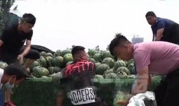 成县吃瓜网红事件真相视频,真相视频曝光背后的真相